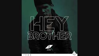 Avicii  Hey Brother Instrumental [upl. by Anawat]