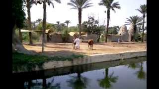 The Agriculture in Egypt at the Pharaonic Village Cairo Egypt 10072012 [upl. by Rusticus]