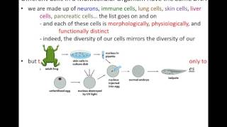 Lecture 7  Control of Gene Expression Chapter 8 Part 1 [upl. by Elokin]