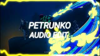 petrunko remixtriticum edit audio [upl. by Mailand841]