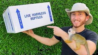 Unboxing Rare Tortoises at Exotic Animal Ranch  Tour amp Surprise [upl. by Lenwood360]