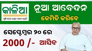 Kalia Yojana New Apply Update 2023  Kalia Yojana Online Apply  Odisha TV [upl. by Itaws]