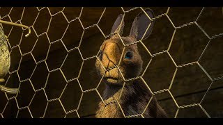 Watership Down 2011 Trailer [upl. by Ecadnarb]