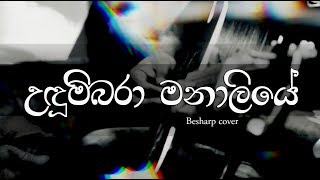 Udumbara Manaliye Cover Song  Besharp Melbourne උදුම්බරා මනාලියේ  දයාරත්න රණතුංග [upl. by Buyse]