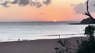 Sunrise at Terrigal Beach Multiple bird fly passes [upl. by Salokcin152]