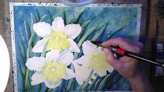 Daffodils in Watercolor  painting process [upl. by Trebeh675]