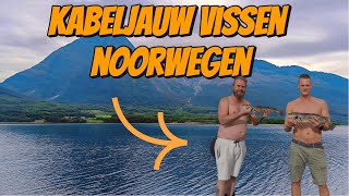 WE GAAN VISSEN OP KABELJAUW IN EEN FJORD IN NOORWEGEN 218 [upl. by Neesay]