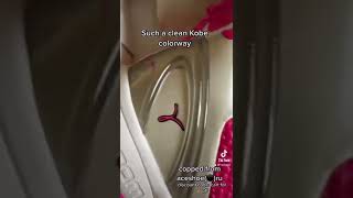 DHgate DHGATE KOBE 6 PROTRO THINK PINK UNBOXING amp REVIEW shorts shoes [upl. by Henni]