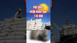 Tin tức  Việt Nam nhập khẩu gạo kỷ lục gao nhapkhau vietnam lua bunphoreview [upl. by Whitaker]