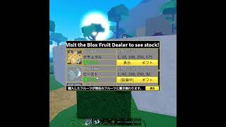 phoenix combo blox fruits phoenix combo 1v1 pvp roblox [upl. by Young257]