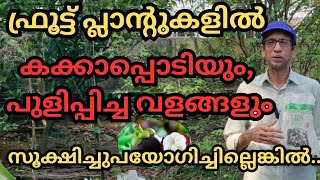 പഴച്ചെടികളുണ്ടെങ്കിൽ നിശ്ചയമായും അറിഞ്ഞിരിക്കണംfruitsplantsplantationsoil pHjeevamrutham [upl. by Gaye]