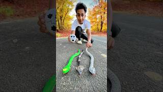 Remote Control Cobra🐍 And Snake Unboxing🔥 [upl. by Gass781]