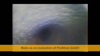 VIDEO SCANNING OF BORE HOLE DRILLED ON TERMITE MOUND [upl. by Figone]