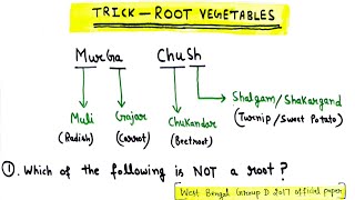 Root Vegetables gktricksinenglish Root Crops which of the following is not a root [upl. by Pegg]