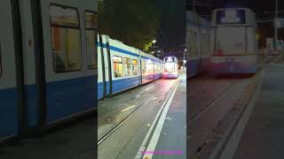 Ein Flexity und ein Cobra Tram bei der Haltestelle Zürich SihlquaiHB [upl. by Ursal]