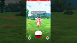 ゲットの瞬間 パート1223 ポケモンgo pokemongo ポケモンgo [upl. by Charis]