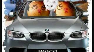 Funny hamsters  funny hamster video  Part 8 [upl. by Zimmermann]