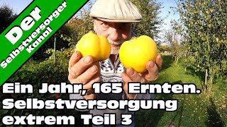 Selbstversorgung extrem 165 Ernten in einem Jahr Teil 3 [upl. by Arahat991]