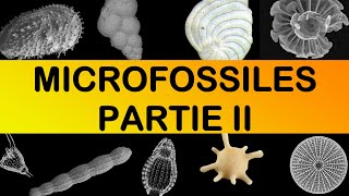 Les MICROFOSSILES Partie II par Mme RuaultDjerrab [upl. by Enihpad717]