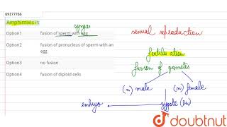 Amphimixis is [upl. by Schapira207]
