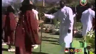 Oromo Music  Traditional Band Arsi [upl. by Refotsirhc513]