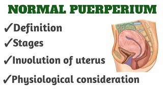 Normal Puerperium 📗OBG notesbsc ampgnm nursingPART 1 [upl. by Horn]