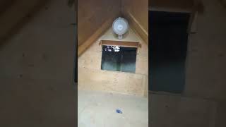 Mini House 🏡 lite ⚡ fan wiring 💡😜viralvideo electrical trending [upl. by Franckot103]