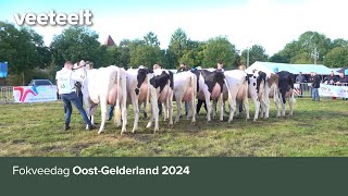 Fokveedag OostGelderland 2024 [upl. by Doerrer]