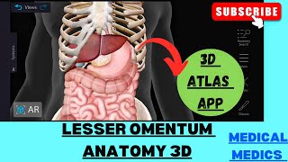 Lesser Omentum  Anatomy of Lesser Omentum 3d  Abdomen Anatomy [upl. by Silsby]