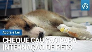 Cheque Caução para Internação de Pets  Agora é Lei [upl. by Wynn]