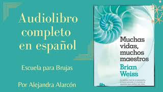 MUCHAS VIDAS MUCHOS MAESTROS AUDIOLIBRO PARTE1 [upl. by Lirba]