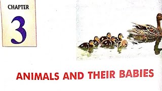 ANIMALS AND THEIR BABIESPART 1CHAPTER 3CLASS 4LAKHMIR SINGHS SCIENCE BOOKICSE [upl. by Osi463]