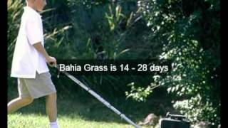 Tips On How To Plant Grass Seed [upl. by Lecia]