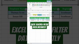 Excel Slicers Instant Data Filters excelslicers [upl. by Dorran86]