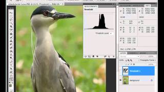 Videotutorial  come eliminare le dominanti di colore con Photoshop Cs5  mp4 [upl. by Byers800]