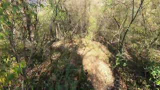 Mountain Biking Codorus November 2nd with Joe [upl. by Shirk793]