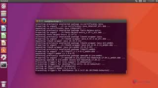 How to install Angry IP Scanner on Ubuntu 1704 [upl. by Shani696]