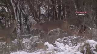 Archers Choice Whitetail Wednesday Ralph 2012 IL Tenpoint [upl. by Yv]