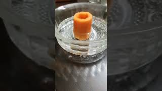 Osmosis  Experiment using carrot osmometer science experiment [upl. by Eenwat]