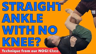 Finishing Straight Ankle Locks with no Knee Control bjj leglocks kuleana nogi ajj jiujitsu [upl. by Giule]