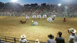 Bull Soccer 2018 Waconia Rodeo [upl. by Melan352]