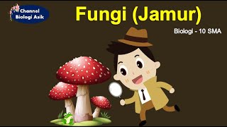 Kingdom Fungi  Biologi kelas 10 SMA [upl. by Ased]