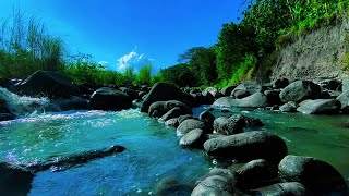 Relaxing River Sound for therapy helps you sleep soundly relieves stress good mood [upl. by Nivonod]