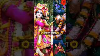 Banke Bihari Aaye Tumhari Sharanyoutubeshort song video HKS Vlogs [upl. by Steward]