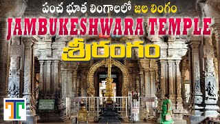 Srirangam Jambukeshwara Temple Full Tour Video In Telugu  Tiruchirappalli Tamil Nadu [upl. by Faruq925]