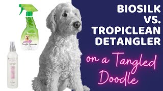 Biosilk vs Tropiclean Dog Detangler Spray on a Tangled Doodle [upl. by Yaja]