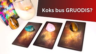 Taro  Koks bus GRUODIS [upl. by Bobinette]