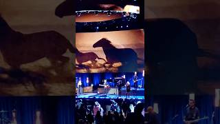 Stevie Nicks  Rhiannon concert livemusic short shorts fleetwoodmac [upl. by Annabel]