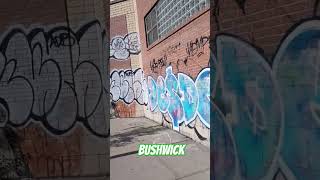 Bushwick Throwies [upl. by Jard855]