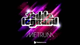 Fedde Le Grand  Metrum Manuel de la Mare Remix [upl. by Clementius661]